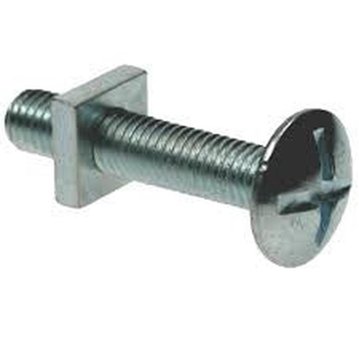 Bolts+Nuts Gutter M6 X60 P/20 Xxx