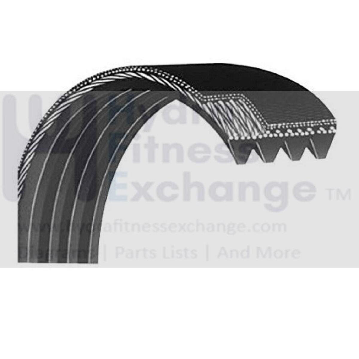 BH Fitness S1Ti Treadmill Motor Drive Belt 23" Circumference