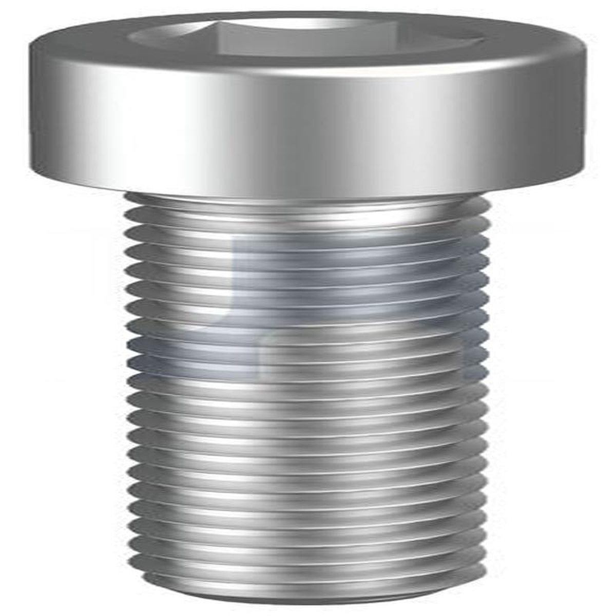 M10 X 120 Socket Hd Cap Scr Cl 129 PLN