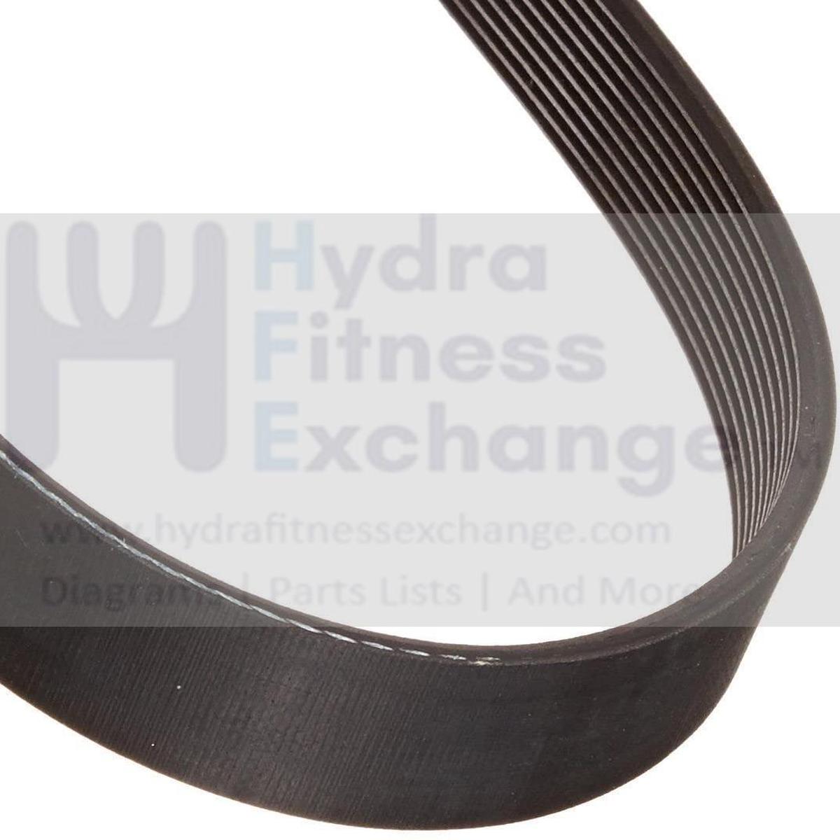 Spirit Trax Flex Treadmill Main Drive Belt 220 J