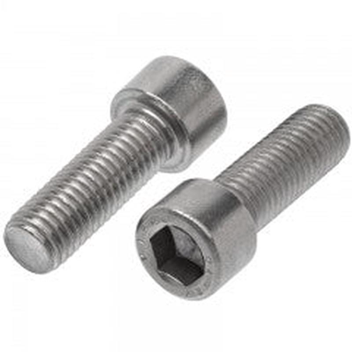 SKT CAP SCREW 316 8211 M24 X 100