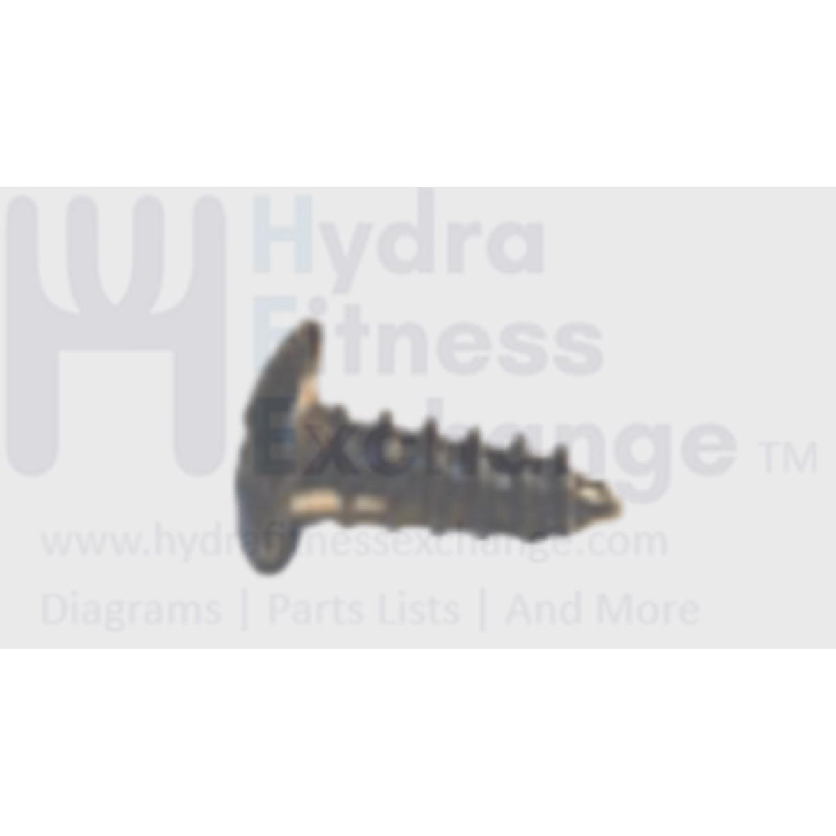 Horizon Fitness Livestrong Treadmill Umbrella Cross Tapped Screw 4x12L 004616-00