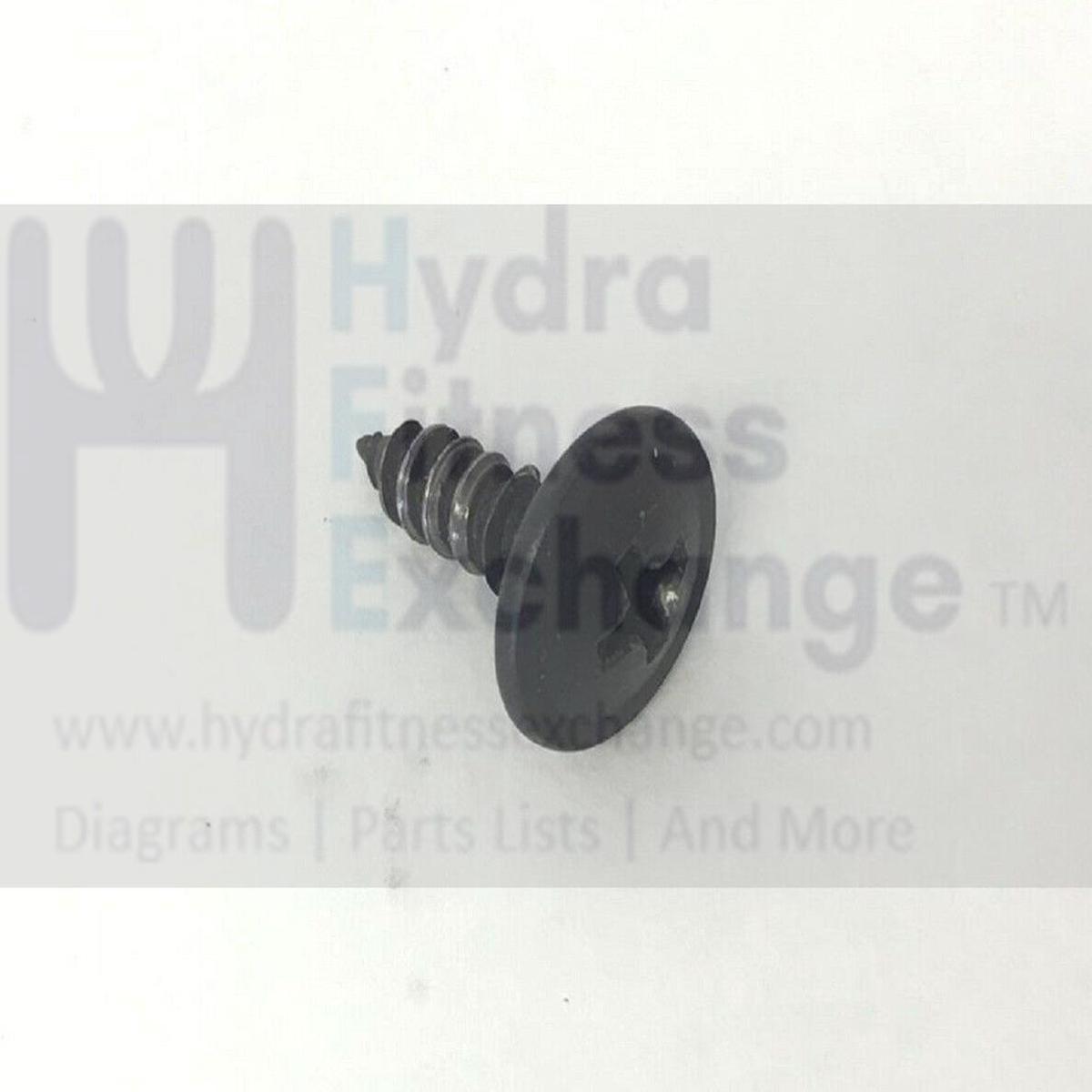 Used Proform NordicTrack FreeMotion Weslo Cycle Bike Flange Screw M4 X 12mm 144528