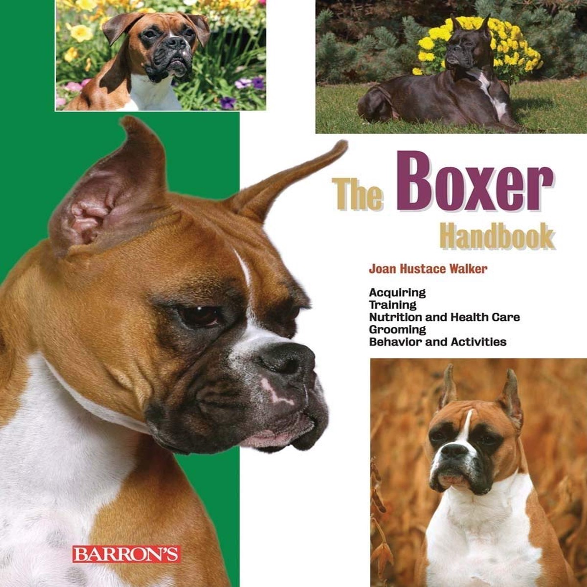 Barron's - Boxer Handbook