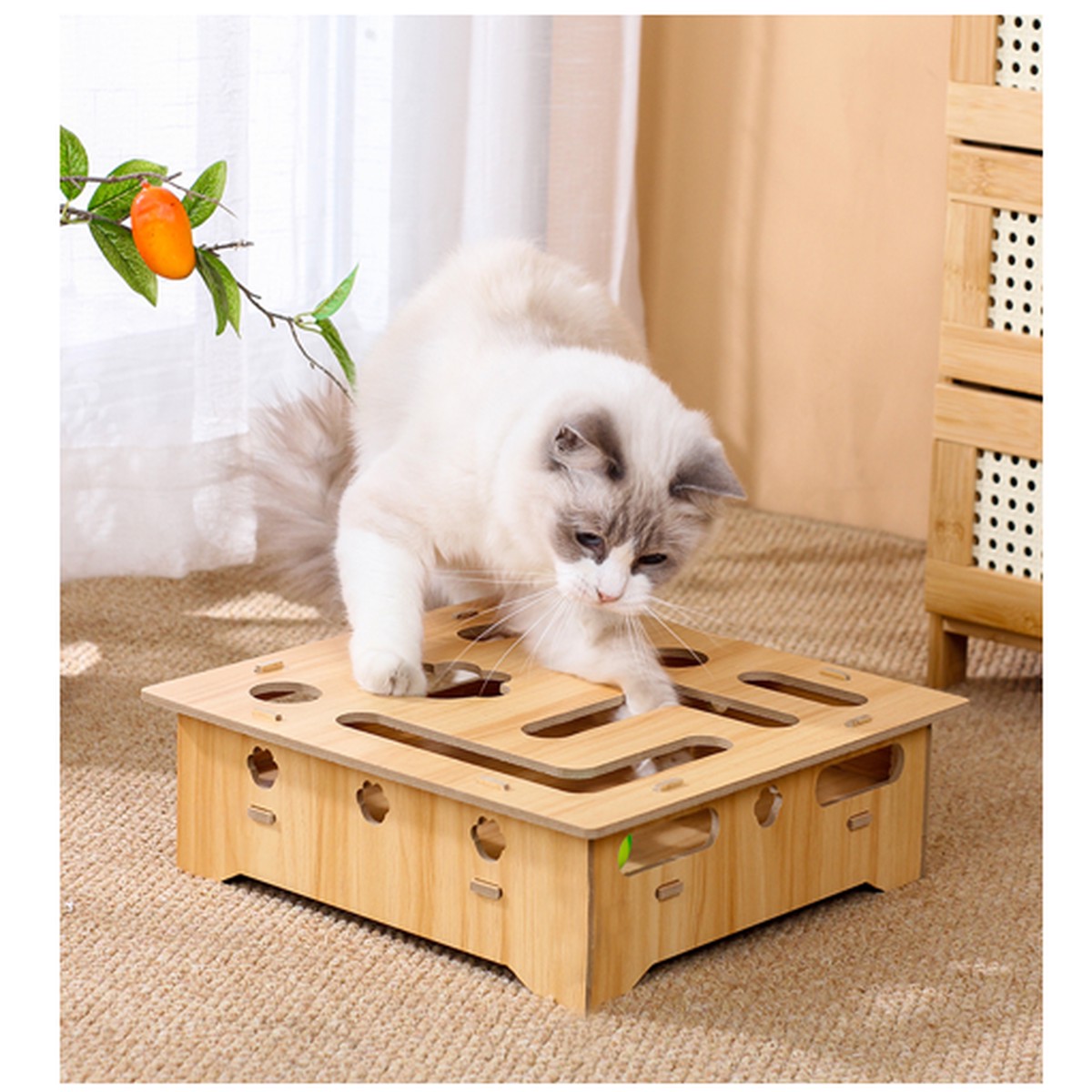 Cat Wall Panel M1