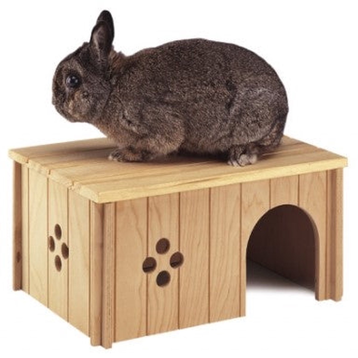 SIN 4646 RABBIT HOUSE