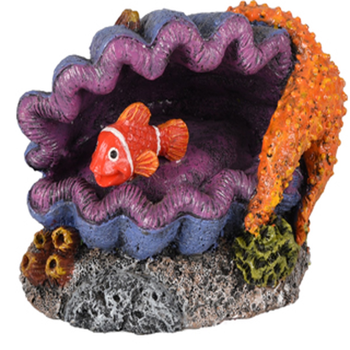 AD LETO SHELL+FISH
