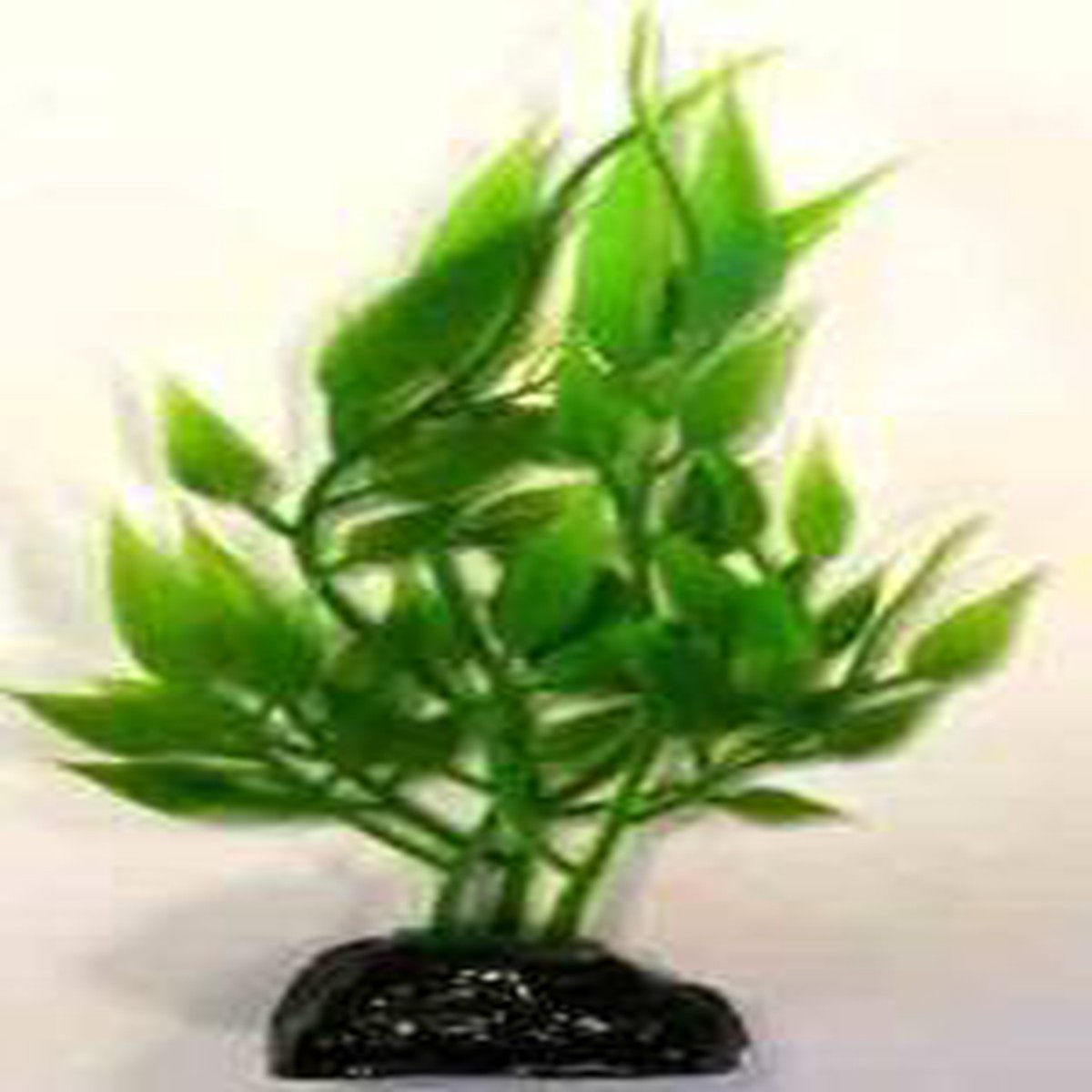 PLASTIC PLANT AP 069E