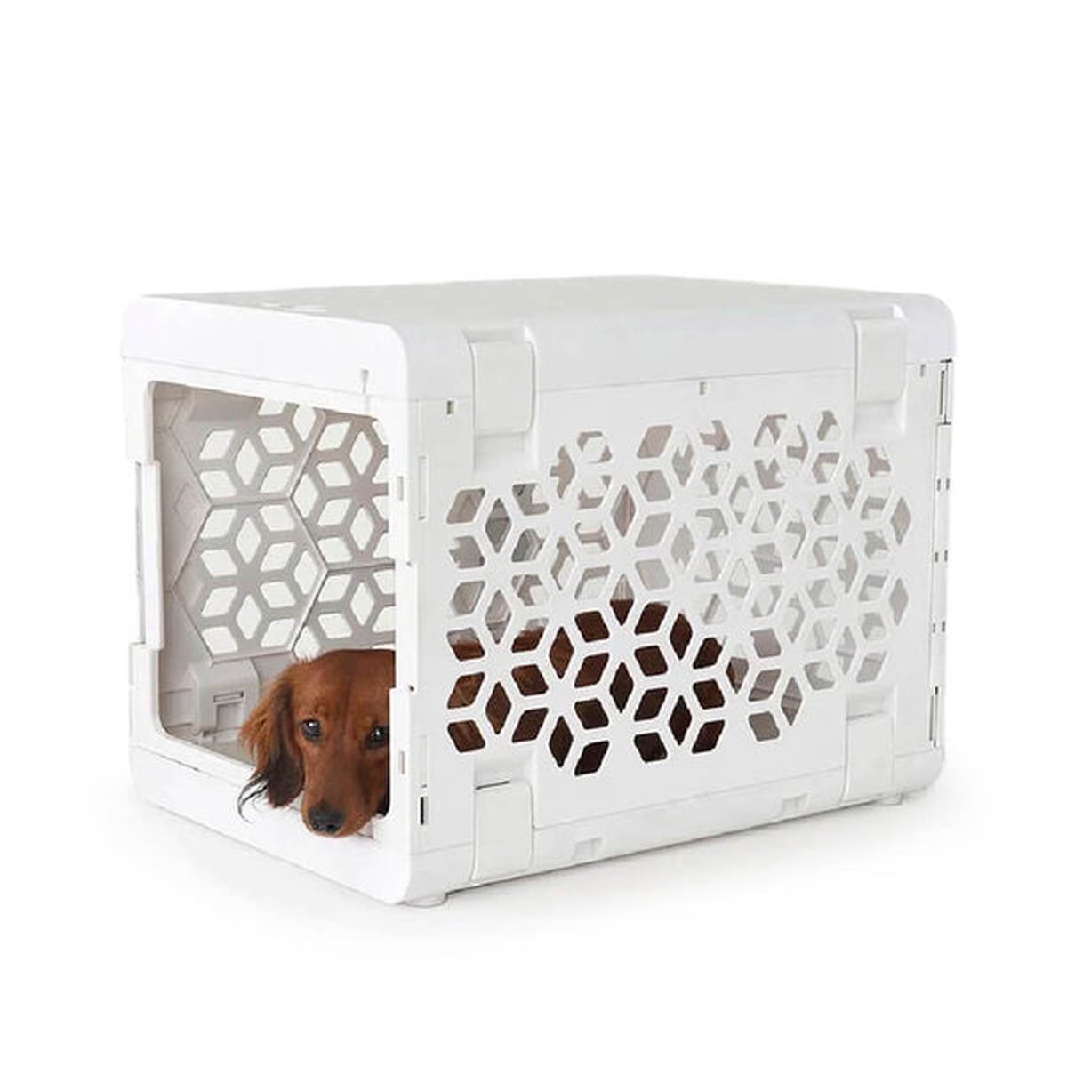 PAWD Collapsible Plastic Pet Crate