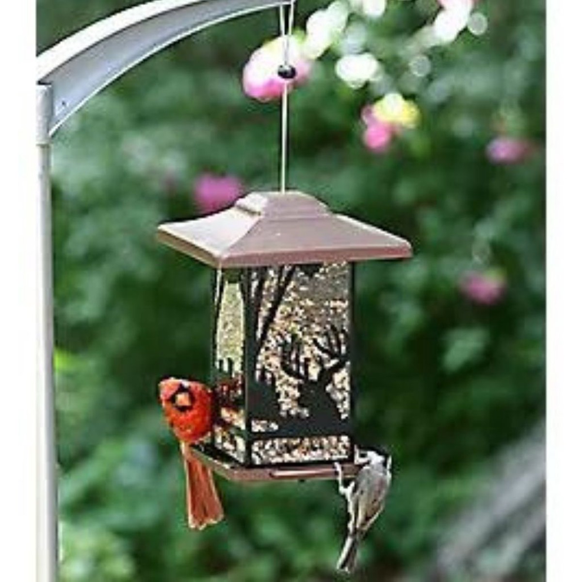 Perky Pet - Wilderness Lantern Feeder