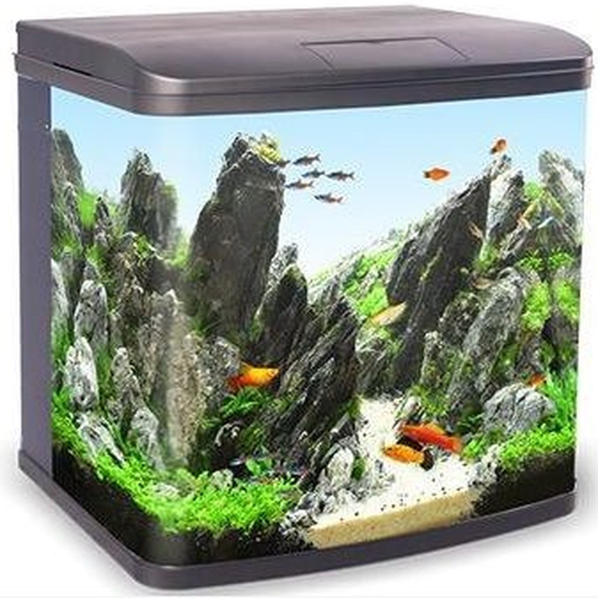 SIGHT AQUARIUM