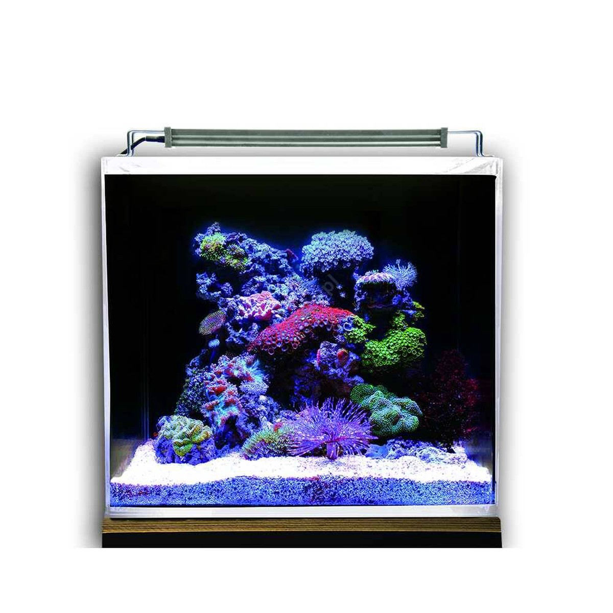 NANO OCEAN SET