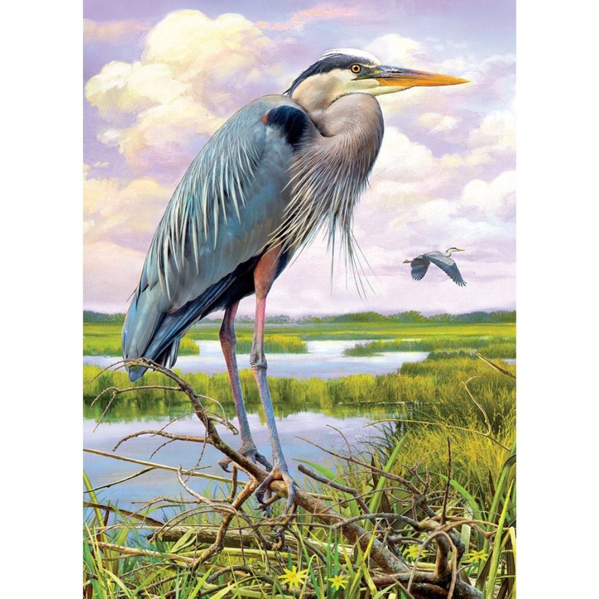 Outset Media - Puzzle: Heron