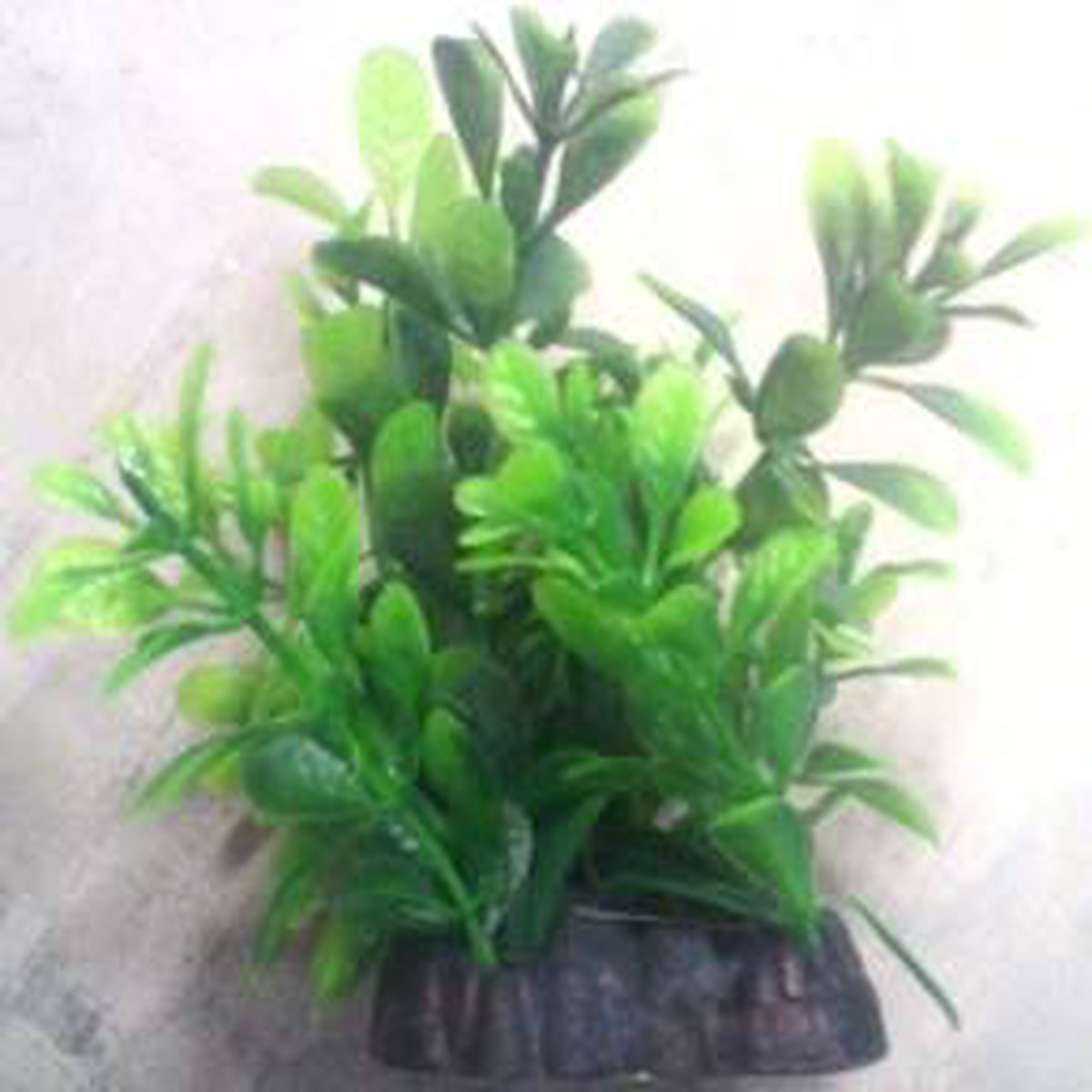 PLASTIC PLANT GREEN ROUND LEAF