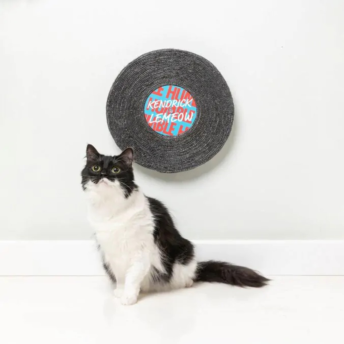 FuzzYard Record Cat Scratcher