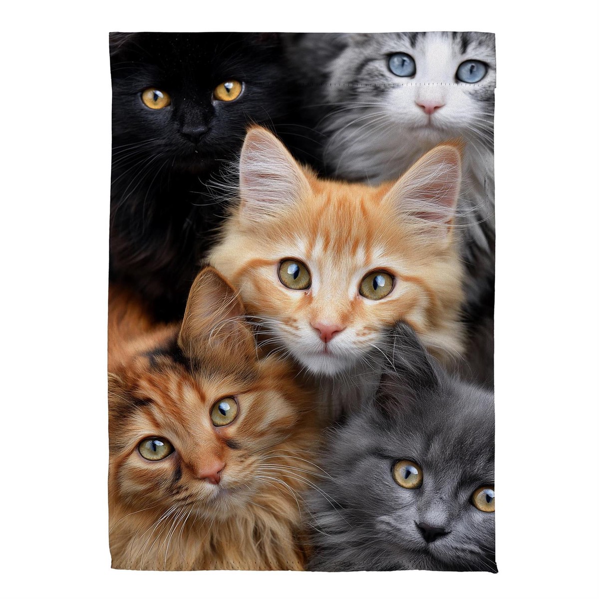 Evergreen Enterprises - Flag Cats!