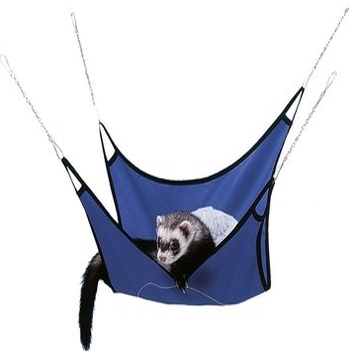 FERRET HAMMOCK